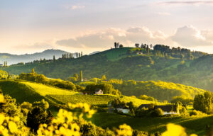 Steuerberater Leibnitz - ihre Steuerberater in Graz und Leibnitz - leopold steuerberatung gmbh